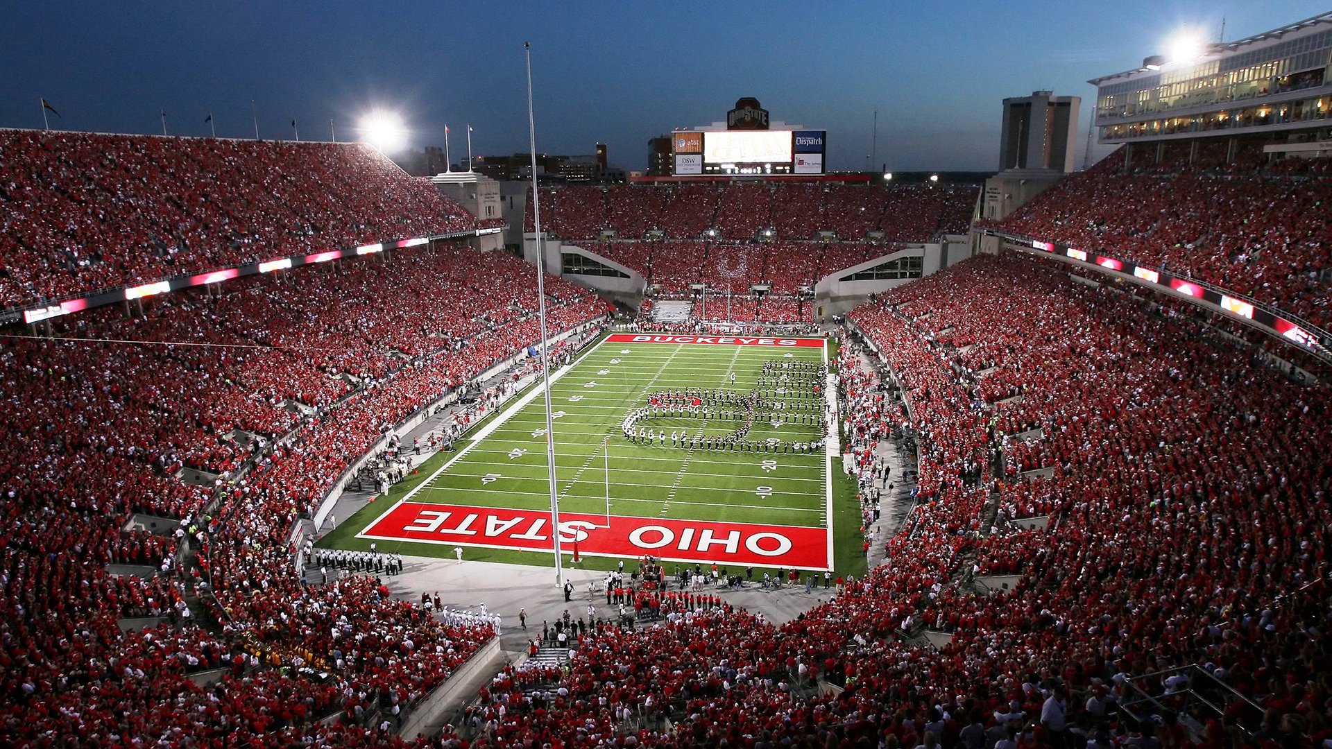 体育培训行业爆发增长